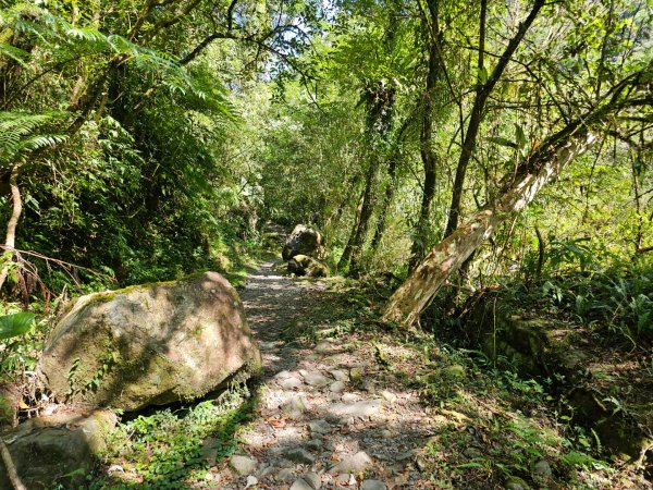 松羅步道 - (宜蘭)臺灣百大必訪步道2556466