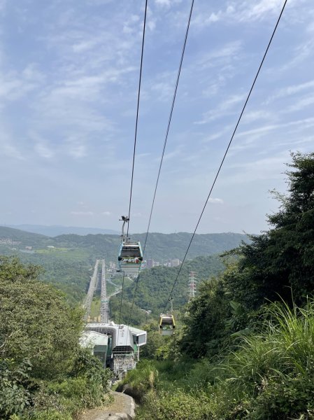 魚猴13連峰2757347