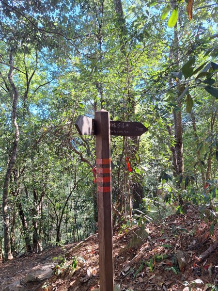 谷關蝴蝶谷瀑布202511202940792