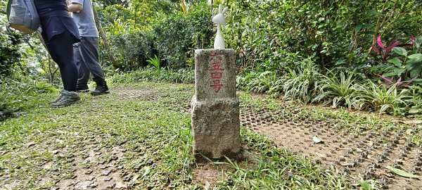 2025/05/31_烘爐地登山步道(南勢角山)2801427