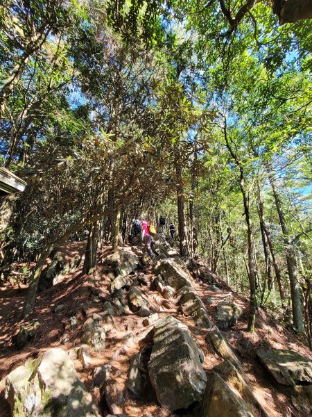 鳶嘴稍來山國家步道2380341