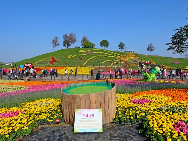 2017台中國際花毯節楓仔林草嶺觀景步道231032