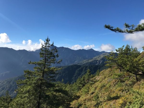 高山上的草原359306