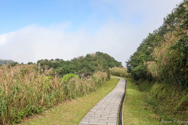 [新北]金字碑古道、燦光寮古道1909145