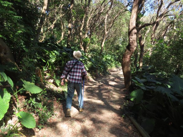 彰化桃源里森林步道+龍鳳谷森林步道2696096