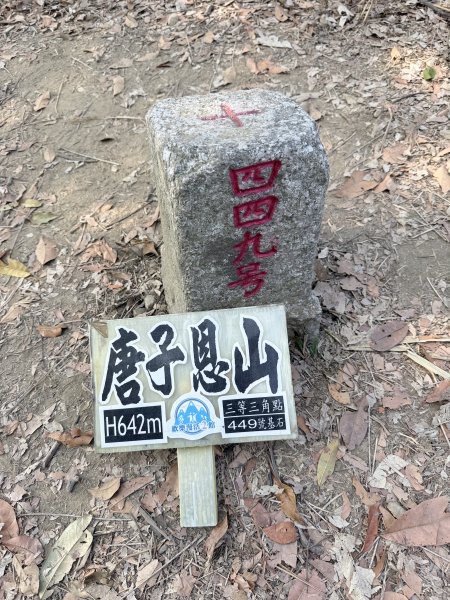 16年後重逢糖子恩山   2026.3.253026336