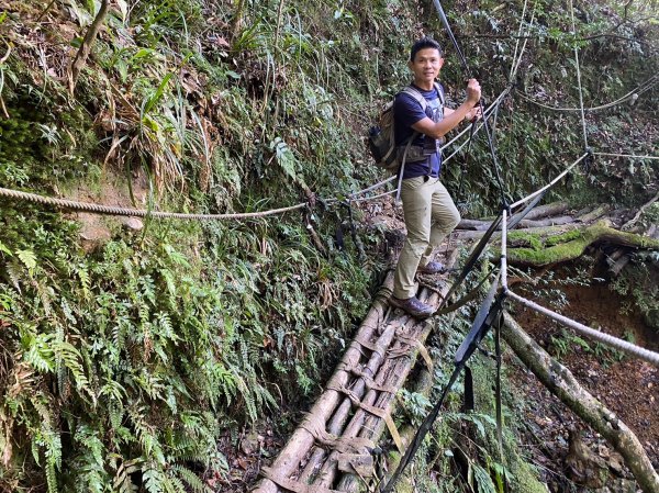 北插天山.赫威山.多崖山.神木群【天堂與地獄並存的神級路線】2390801