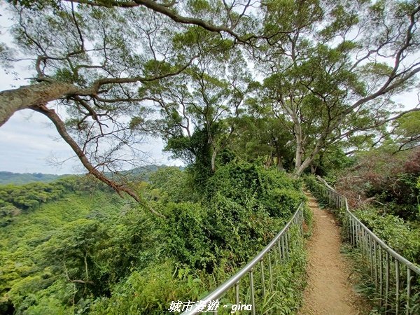 【彰化田中】蓊鬱森林有點陡。 田中森林登山步道1925576