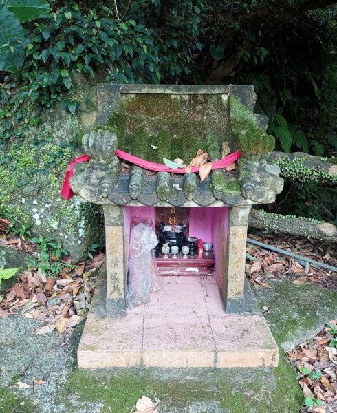 楓樹湖古道登面天北稜上面天山2782200