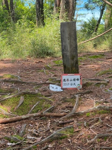 鹿屈山-三大障礙心好累，繡球花-杉林溪賞花趣2816470