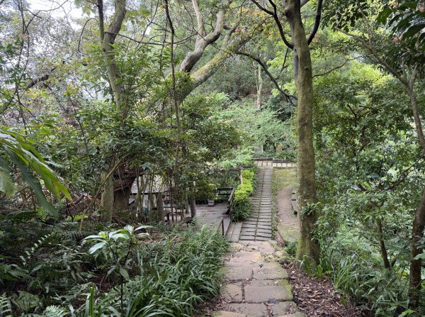 [微笑山線_第四段] 2026_0321 天上山系_三粒半3021063