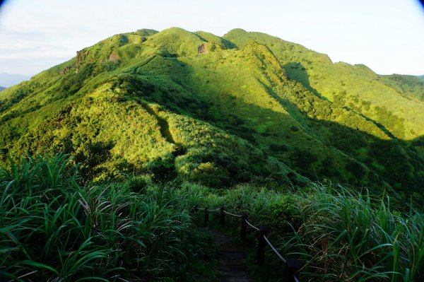 新北 瑞芳 半屏山、茶壺山、燦光寮山3083115