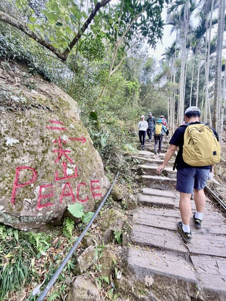 二尖.大尖山悠遊--好友再聚的茶園餘韻   2026.01.182985474