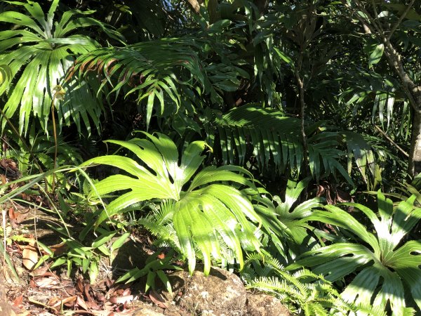 【淡蘭中路】全線連走(經泰平) | 是旅行也是修行1035260