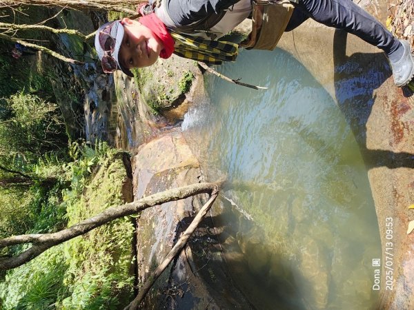 【菁桐】巡山東勢格古道全段加碼臭頭山2848012