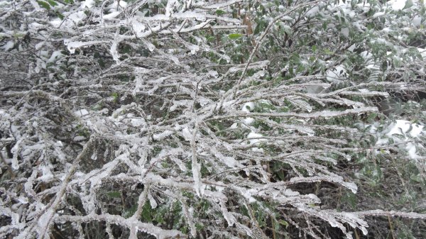 台北後花園下雪了 ！1232100