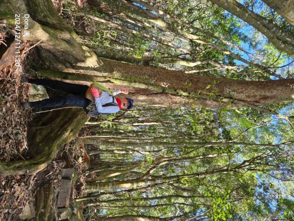 【谷關七雄】屋我尾山(H1796m)＆屋我尾山北峰(H1784m)熱身行2670245