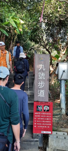 《台中》登山市集｜大坑9及9_1號步道上觀音亭202512202966777