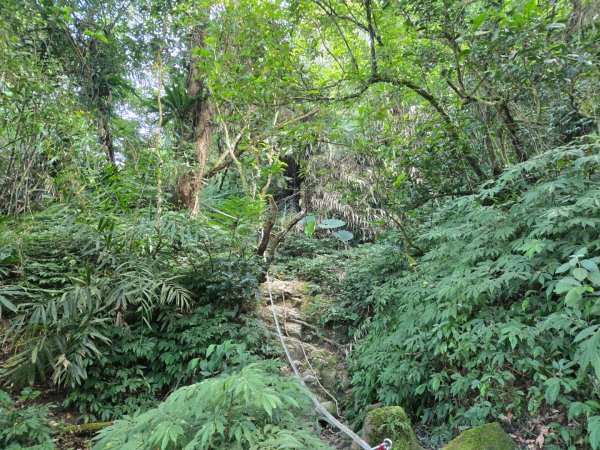 九龍山連走大凍山2955711