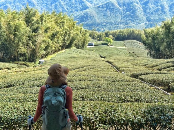 溪頭六連峰O繞2741792