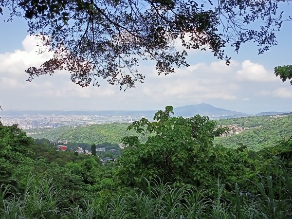 【小百岳集起來、臺北大縱走 4】翠山步道→大崙尾、頭山步道→大崙頭山北面步道→甜水鴛鴦湖→許願步道