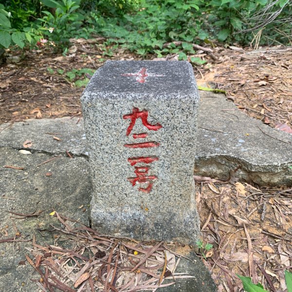 20250628高雄赤山2826273