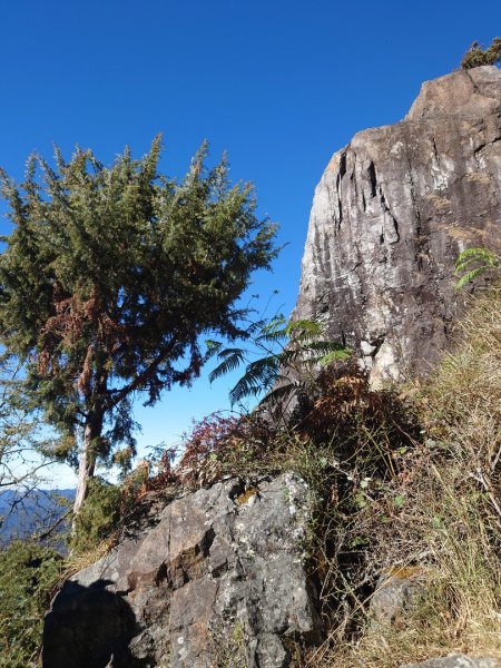 玉山前峰登山步道2378880