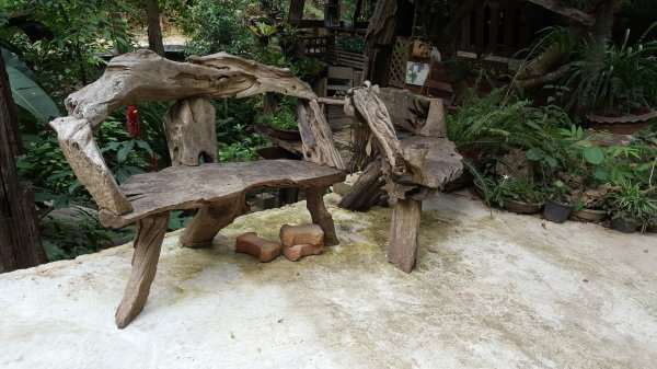 清邁：Huai Kaeo、大樹咖啡2486914