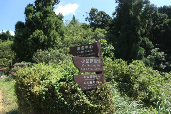 小百岳NO.22東眼山，因山形似躺著的少女  大眼睛向東而望之 絕美柳杉雲海 東眼山2297022