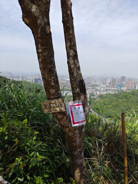 臺北大縱走第六段 中華科技大學至捷運麟光站2764451