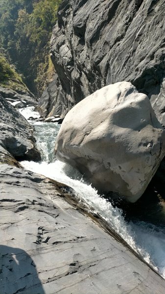 多納鬼斧神工峽谷步道(一線天)2730287