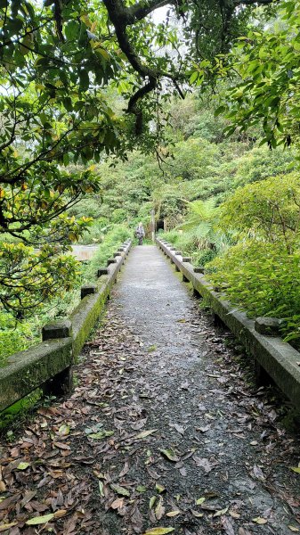 坪頂古圳步道2089576