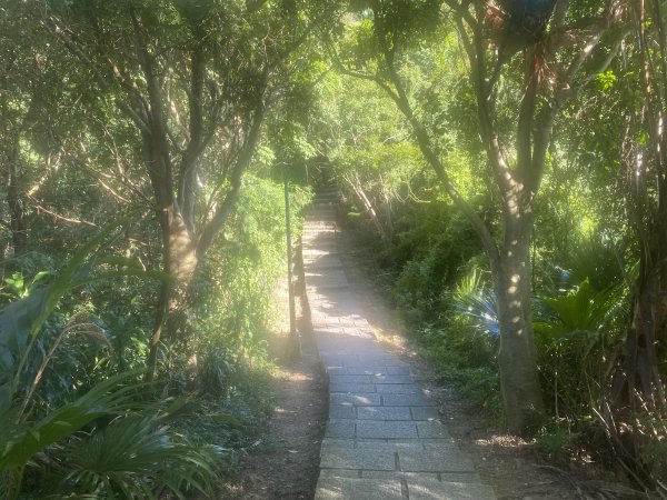 【四獸山 Short】虎豹象先行！獅山封閉中，等新步道開箱再相見2888804