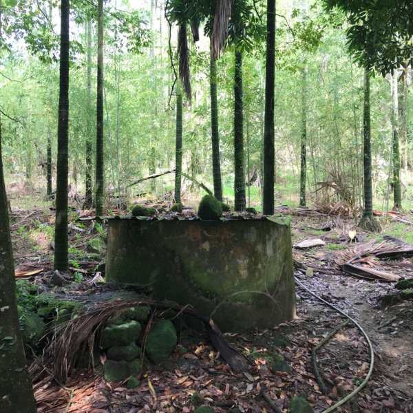 大凍山、雞籠山環行1076526