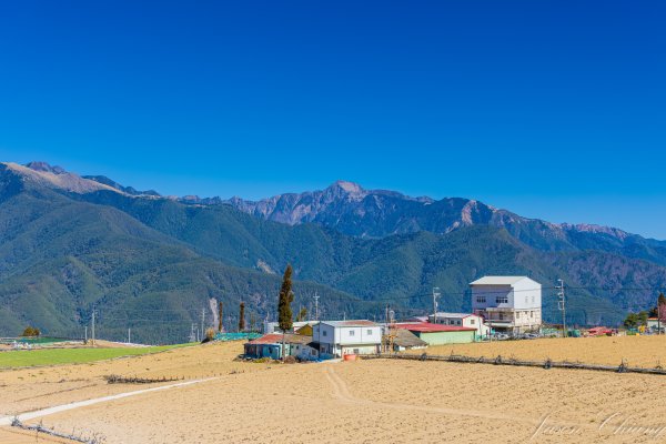 福壽山千櫻園櫻花盛開2724933