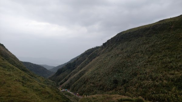 2021/11/12 草嶺古道雨中行1512749