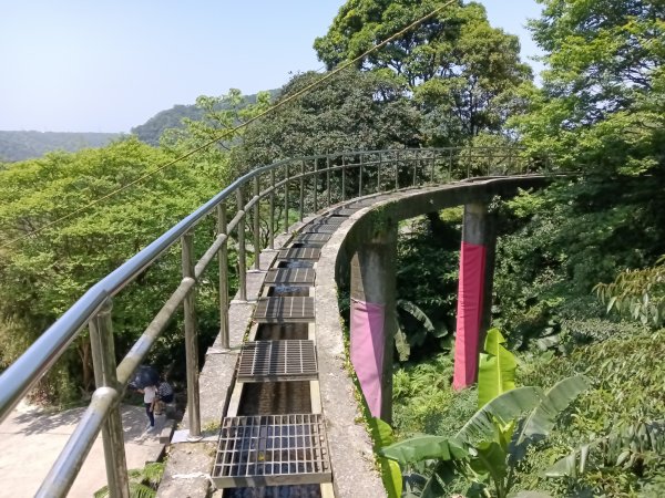 石門區嵩山百年水梯田鳶尾花祭+阡陌步道2763519