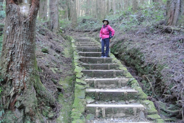 特富野古道+梯子板山25545