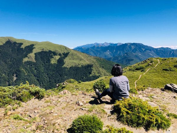 1091003哈哈山/石門山北峰1118327