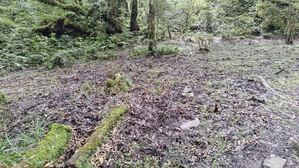 棲松縱走未竟2918315