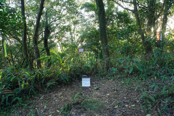 新北 貢寮 大石壁坑山、五酒桶山、龍崗山2980851