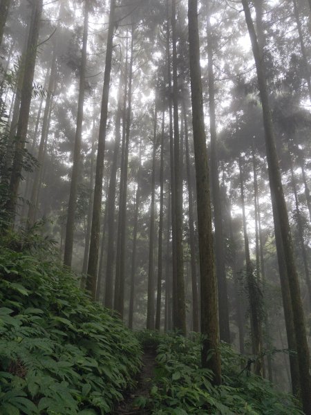 小百岳(32)-向天湖山-202110301674138