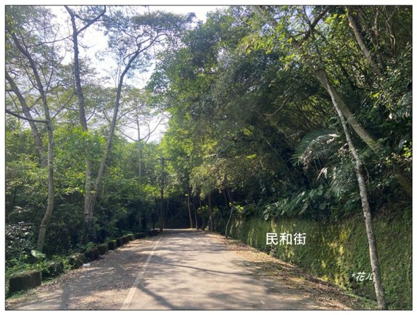 中坑山．石灰坑山．望湖山 連走2812983