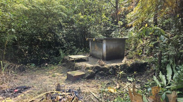 20260409四柑縱走3034419