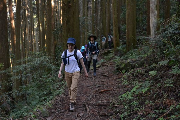 加里山鹿場、杜鵑嶺893668