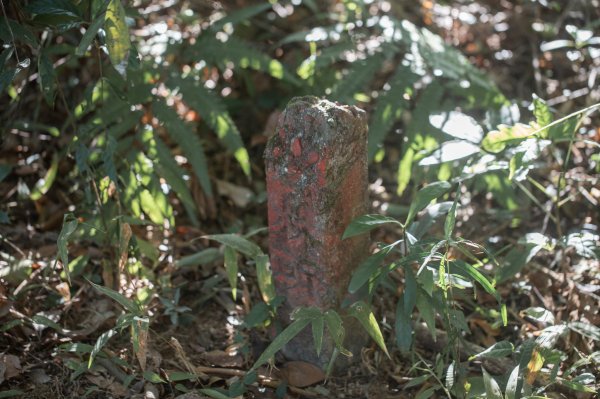 枕頭山古砲台歷史古道O型（含薑母島）2948485