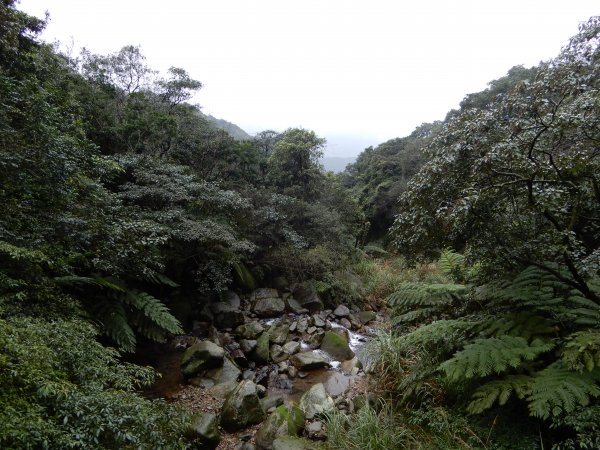 魚路古道北段+挑硫古道+大油坑山O型816230