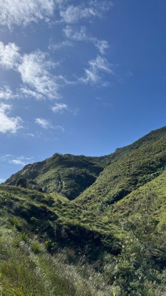 2025草嶺古道2970594