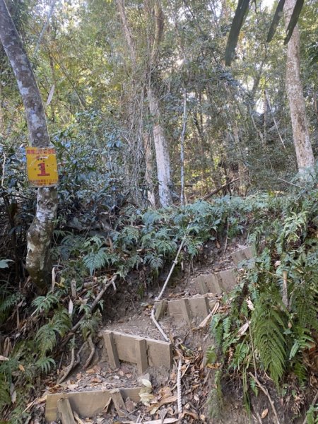 鳥嘴山3059790