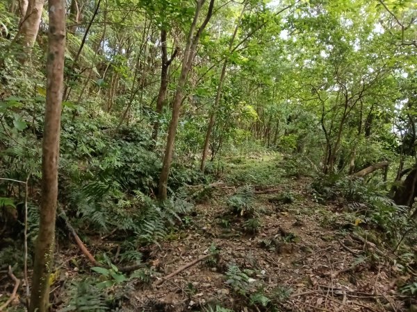 雙溪區盤山坑古道+過火坪古道O型2882378